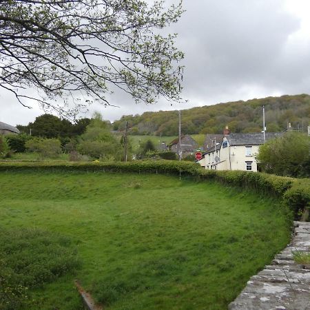 The Farmers Arms, Cwmdu Llanwddyn  Exteriér fotografie